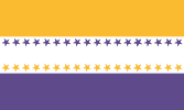 Nineteenth Amendment victory flag