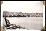 قوارب الصيد في ميناء مدينة الكويت في عام 1950.
