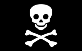 The Jolly Roger, the traditional flag of piracy