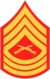 three chevrons up and three down with crossed rifles