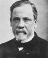 لويس باستير († 1895)
