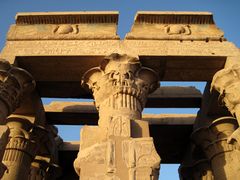 عمود على شكل بردية محفوظة وسقف في معبد كوم أمبو