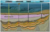 A cross section of the Messinian evaporites and the Tamar sands along with the gas discoveries in Dalit, 15 billion m3, Tamar, 240 billion m3 and the Leviathan, 455 billion m3 and the anticipated Cyprus A, with 300 billion m3, Noble Energy, 2010.