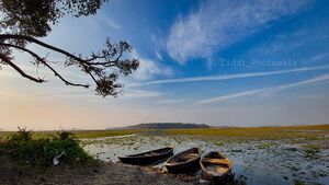 Kanwar Lake Begusarai by Ziddi Photowala.jpg