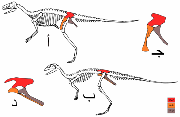 Dino evol 1 modificated ar.png
