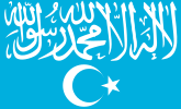 Turkistan Islamic Party