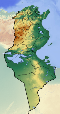 تونس is located in تونس