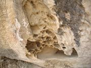 Salt weathering of sandstone near Qobustan, Azerbaijan.