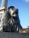 トラファルガー広場のライオン像