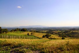Fields in the undulating landscape of the Hrvatsko Zagorje region