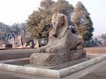The alabaster sphinx found outside the Temple of Ptah.