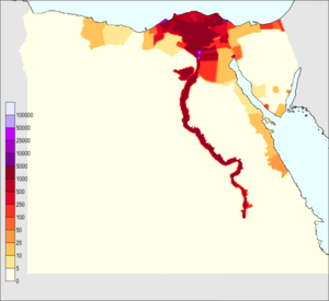 معرفة ديموغرافية مصر