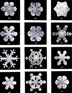 شكل جزيئات الثلج