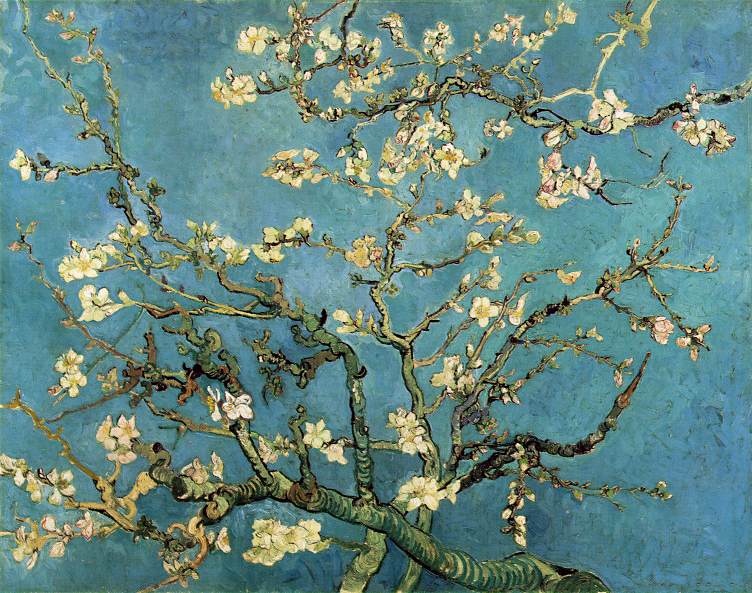 ملف:Almond blossom.jpg