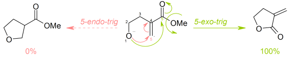 Reaction of methyl 4-hydroxy-2-methylenebutanoate according to Baldwin rules