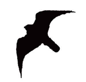 ملف:Falco-peregrinus-silhouette.png