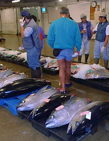 ملف:Fish auction Hawaii.jpg