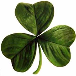 ملف:Irish clover.jpg
