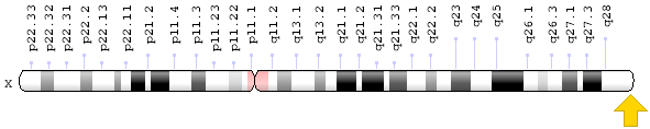 ملف:F8 gene location.png