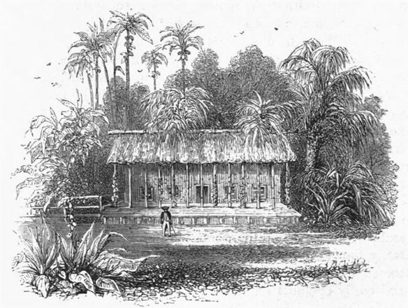 ملف:Stephenson's cottage at Santa Anna.jpg