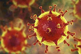 Strain of Coronavirus.jpg