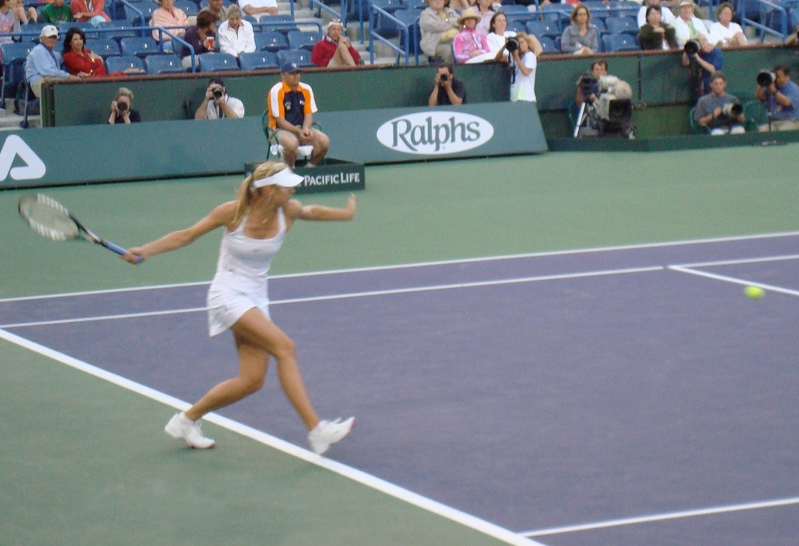 ملف:Maria s tennis pro.jpg