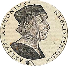 ملف:Retrato de Antonio de Nebrija (fondo blanco).jpg