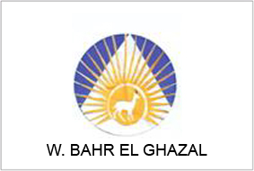 ملف:Western Bahr el Ghazal flag.jpg