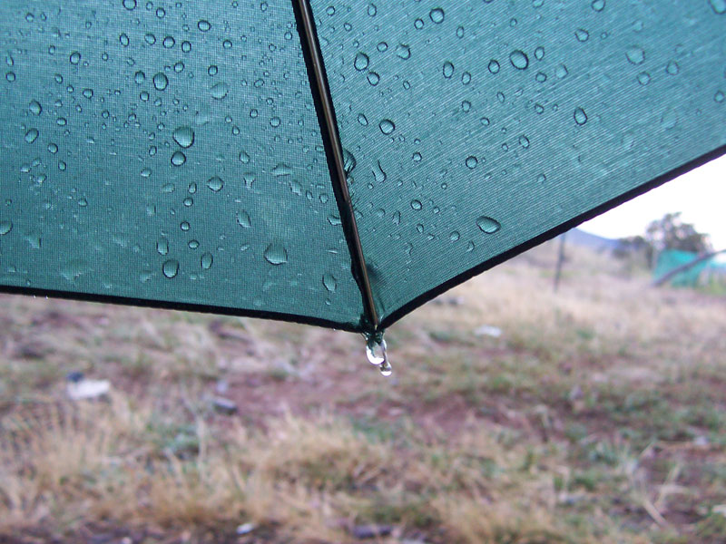 ملف:Umbrella with raindrops.jpg