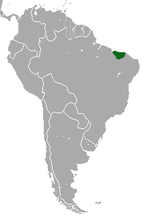 Maranhao Red-handed Howler area.png