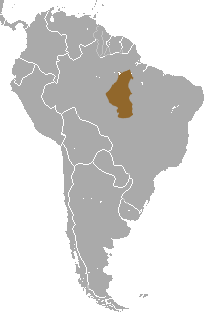 White-cheeked Spider Monkey area.png
