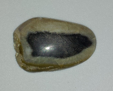 ملف:Common Opal (Opalized Wood).png