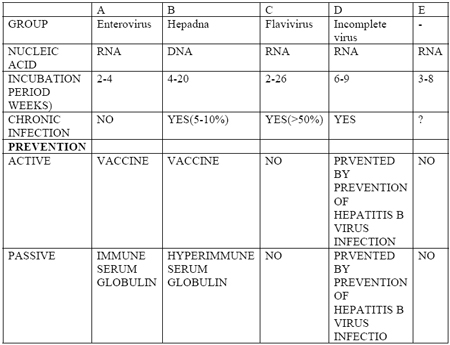 ملف:Types of Hepatitis.jpg