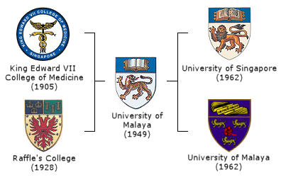 Evolution of the University of Malaya.png