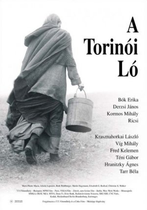 The Turin Horse poster.jpg
