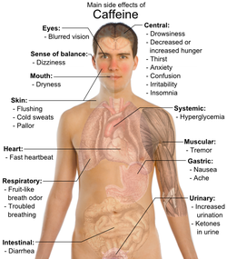 Top half of a naked man, with illustrations of internal organs superimposed. Lines from explanatory text point to portions of the body. Effects listed: blurred vision, dizziness, dryness of mouth, cold sweats, pallid skin, breath odor, troubled breathing, diarrhea, drowsiness, changes in hunger, thirst, anxiety, confusion, insomnia, hyperglycemia, muscle tremors, nausea, and increased urination.