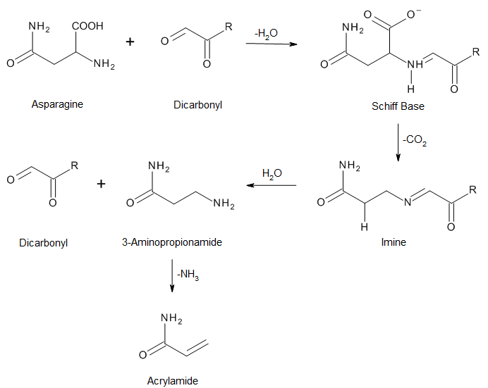تكوين الأكريلاميد عن طريق التفاعل بين الأسپارجين والمركبات ثنائية الكربونيل أثناء تفاعل أمادوري.