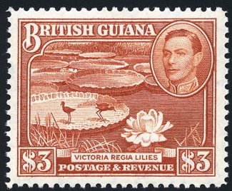 ملف:British Guiana 1938 Victoria Regia.jpg