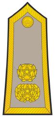 ملف:Lieutenant Colonel Armée marocaine.JPG