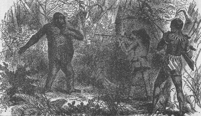 ملف:French explorer Paul du Chaillu at close quarters with a gorilla.jpg
