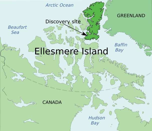 ملف:Ellesmere Island - Tiktaalik discovery site.png