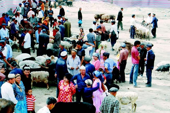 ملف:في شينج يانج 10 ملايين رأس من الغنم، والصورة من أحد أسواق الغنم.JPG