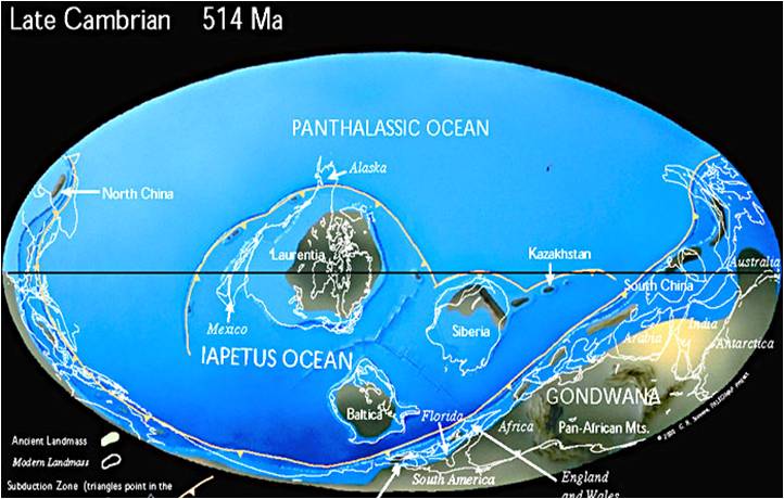 ملف:Late Cambrian (514 Ma).jpg
