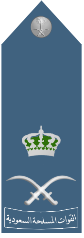 ملف:Royal Saudi Air Force -Air Vice-Marshal.png