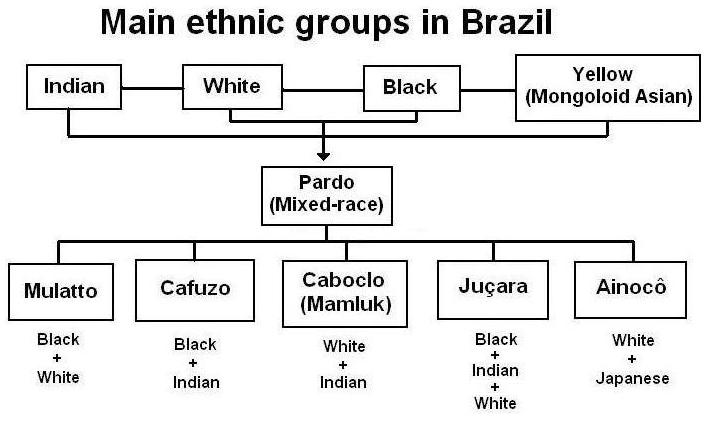 ملف:Main ethnic groups in brazil.JPG