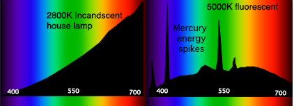 ملف:Spectral Power Distributions.png