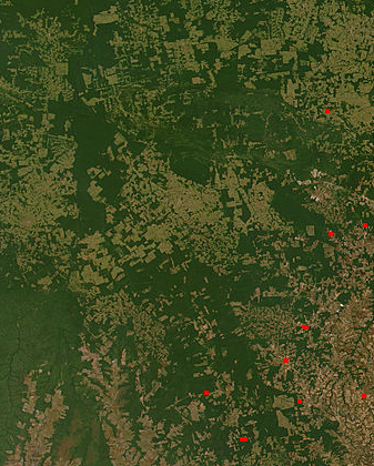 ملف:DeforestationinBrazil2.jpg