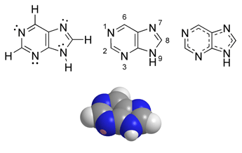 ملف:Purine chemical structure.png