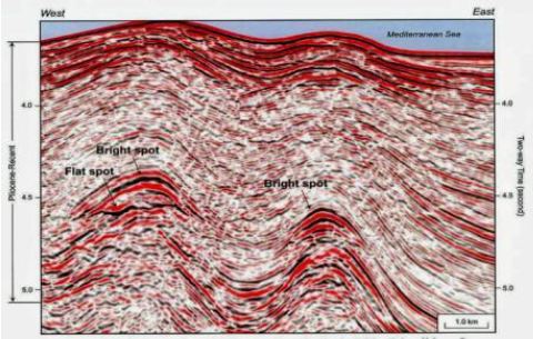 ملف:Seismic flat spot and two bright spots identified in the PGS 2-D in offshore Cyprus.jpg