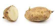 ملف:Russet potato cultivar with.jpg